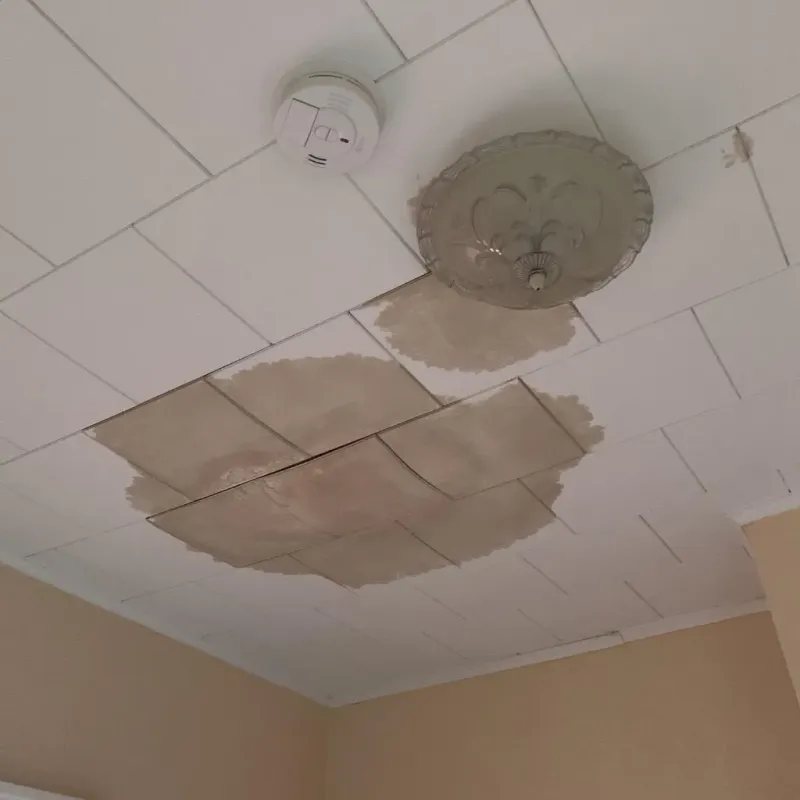 Ceiling Water Damage Repair in Rossville, MD