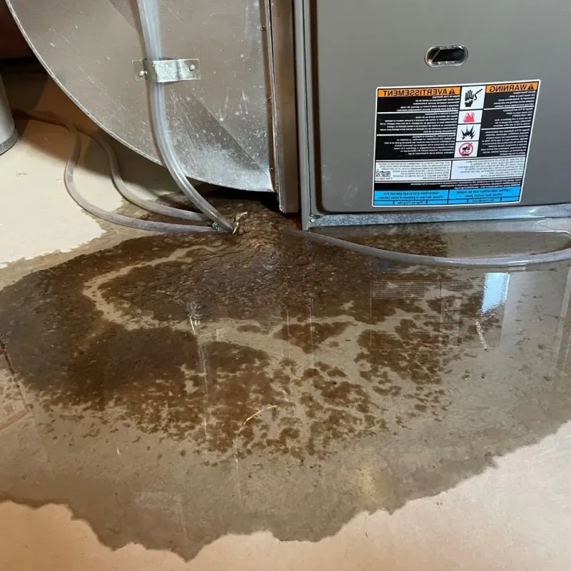 Pipe Burst and Leak Restoration in Rossville, MD
