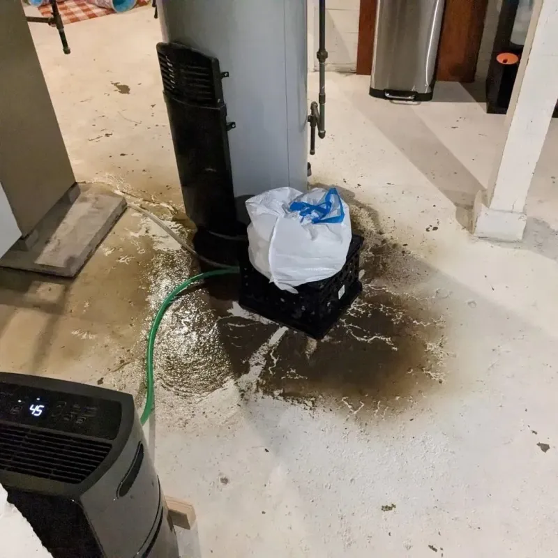 Sewage Backup Cleanup Service in Rossville, MD